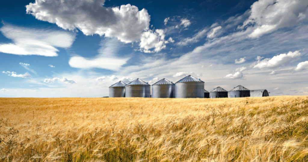 grain silos in field